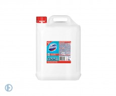 Чистящее средство 5 л DOMESTOS с антивирусным и отбеливающим эффектом 