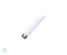 OSRAM-СМ L36/765 G13 d26x1200 2500lm 6500K - лампа
