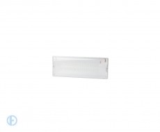 Аварийный светильник светодиодный ЭРА DPA-301-0-65 непостоянный 40LED 3ч IP65